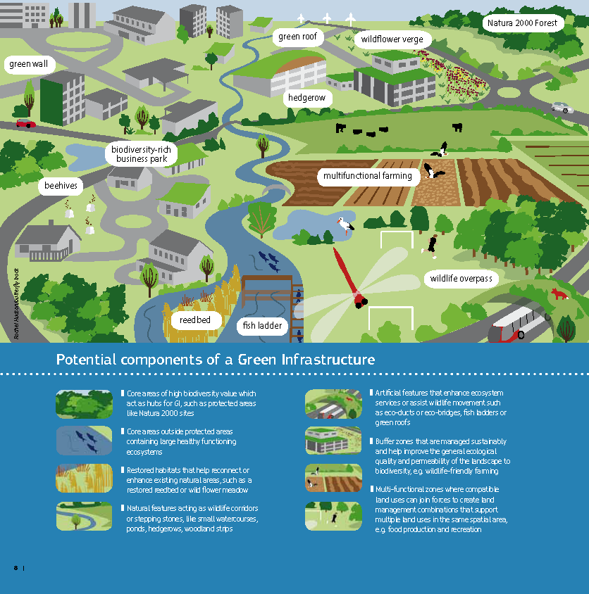 Componentes de la infraestructura verde