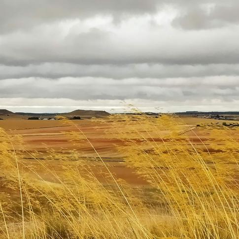 Campo de Batalla de los Arapiles