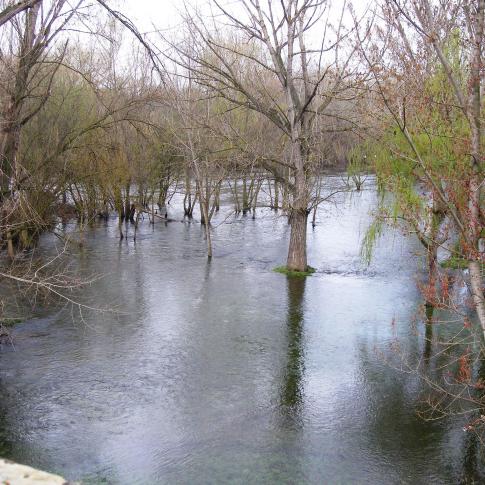 El Tormes