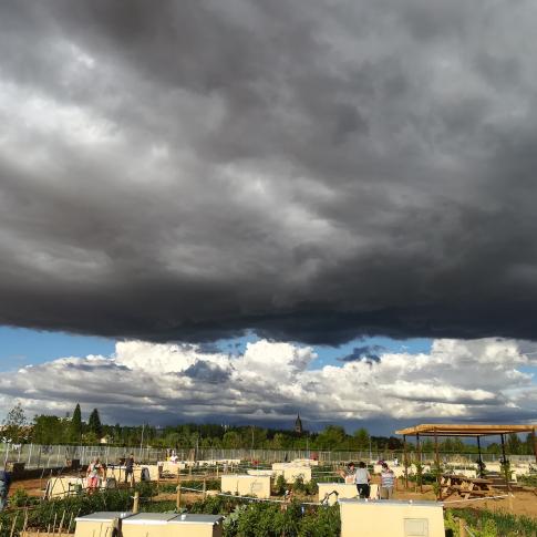 Mención adultos "Tormenta, huertos y patrimonio"