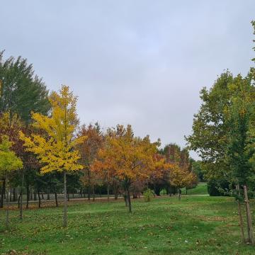 Parque Botánico de Huerta Otea